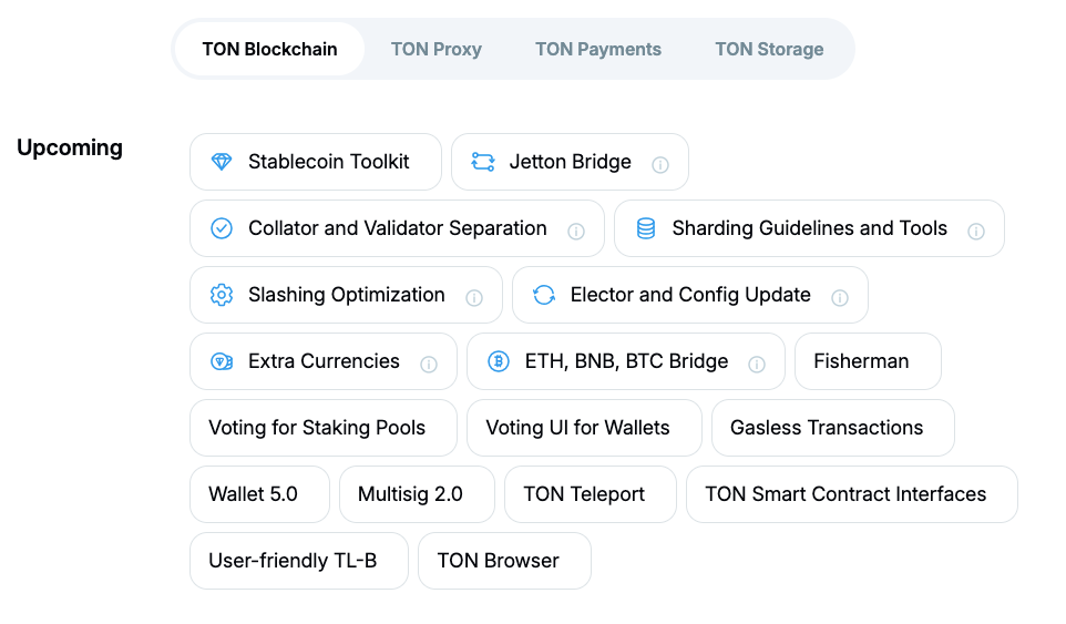 "TON Eco: Analisi delle Vulnerabilità e Misure di Sicurezza per un Ecosistema Blockchain Resiliente"