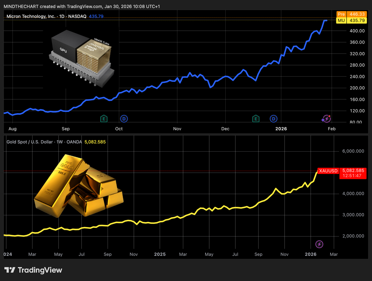 🌍Investire nel Nuovo Mondo : la MEME-ification di Tutti gli Asset