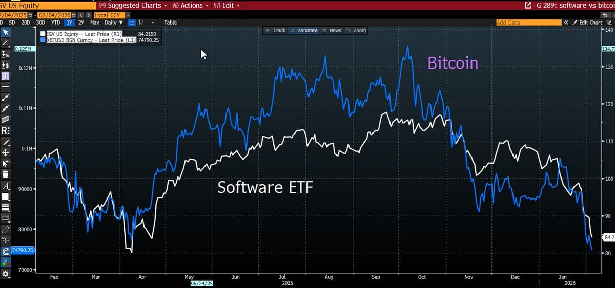 Ai Panic & Market Bloodbath: il software crolla, la narrativa cambia, ma il bottom?